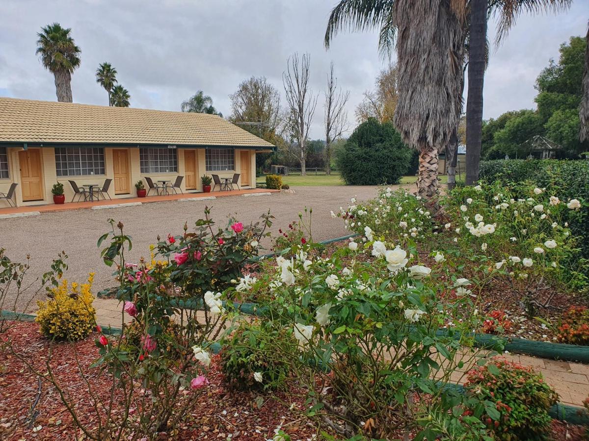 The Aston Motel